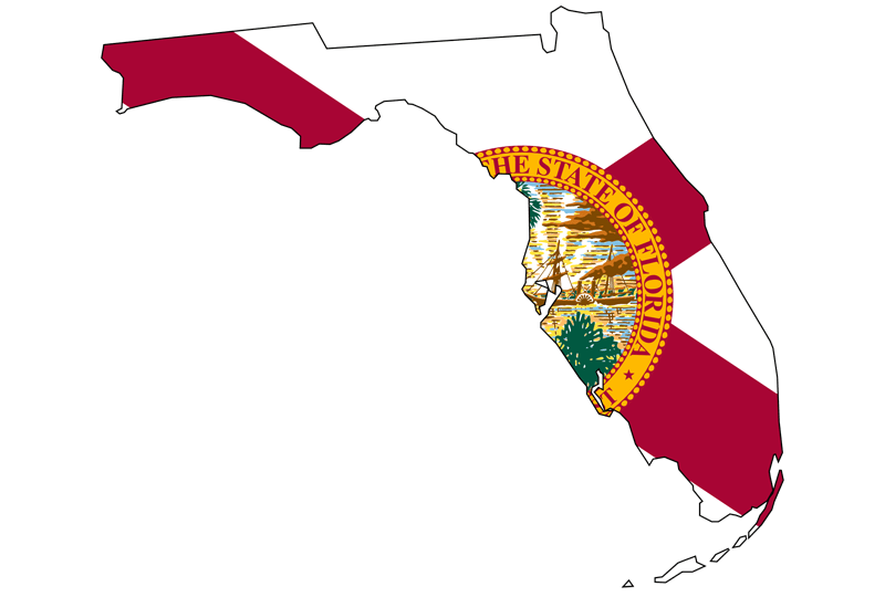 Outline of Florida with background of Florida map