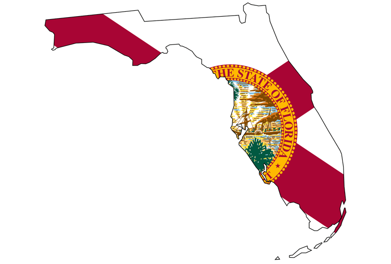 Outline of Florida with background of Florida map